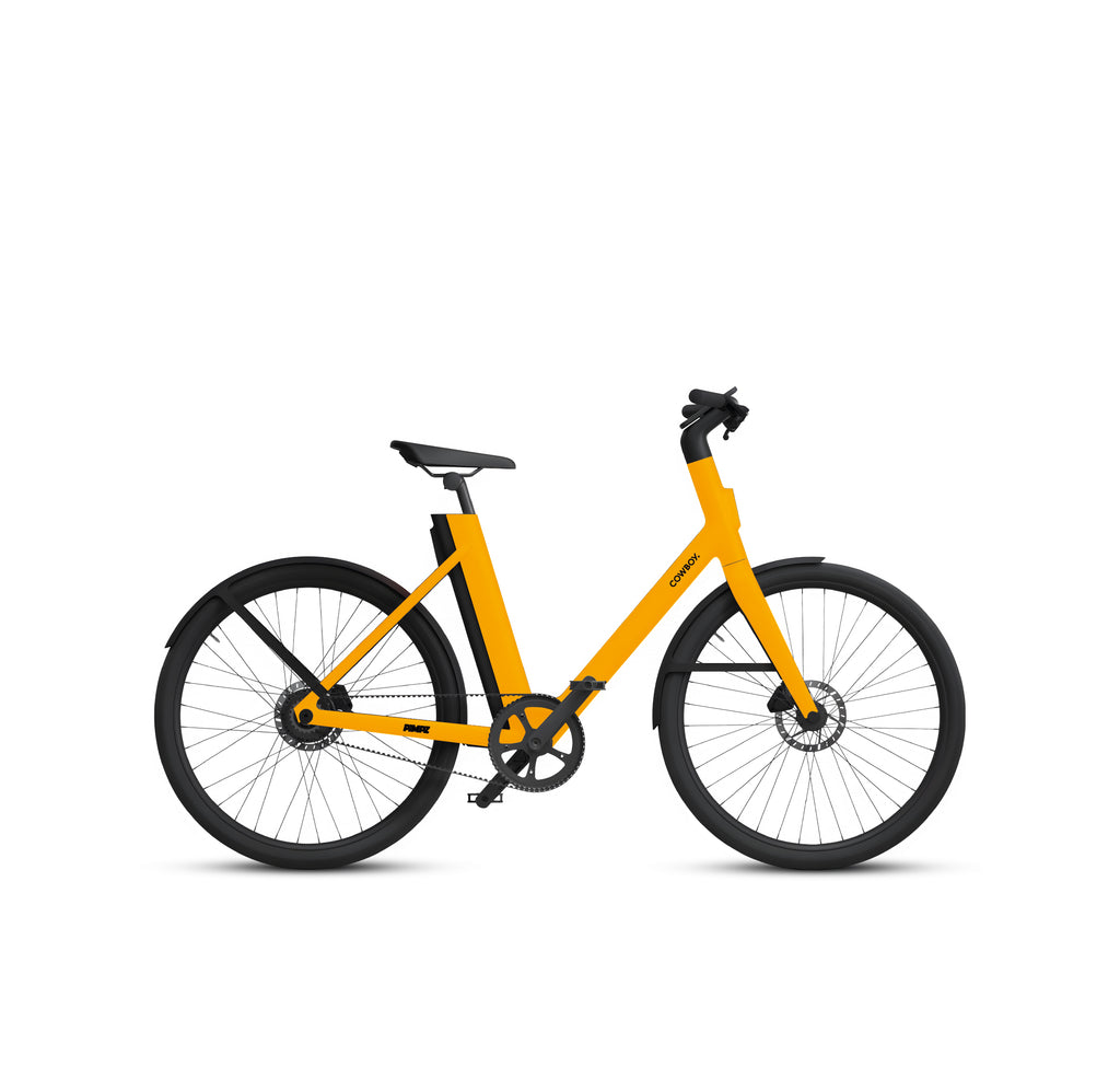 Cowboy Cruiser ST wrap kit