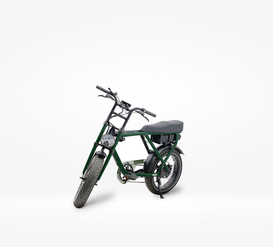 Knaap bike met groene wrap